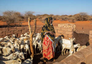 80 year old Hawo is experiencing her worst drought