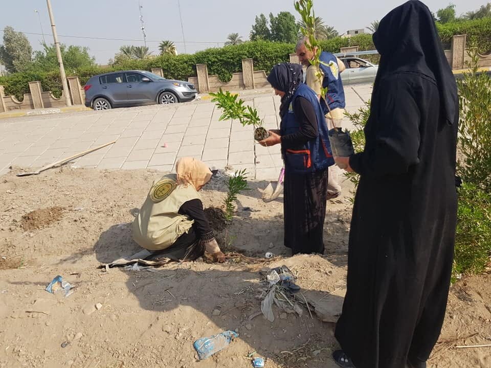 Plant 40,000 Trees In iraq GlobalGiving