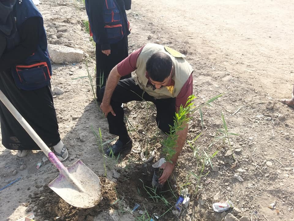 Plant 40,000 Trees In iraq