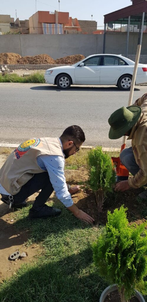 Plant 40,000 Trees In iraq