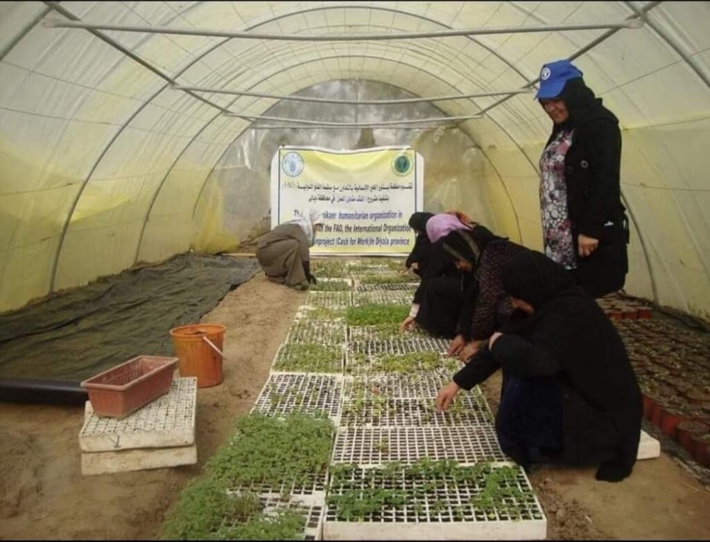 Plant 40,000 Trees In iraq