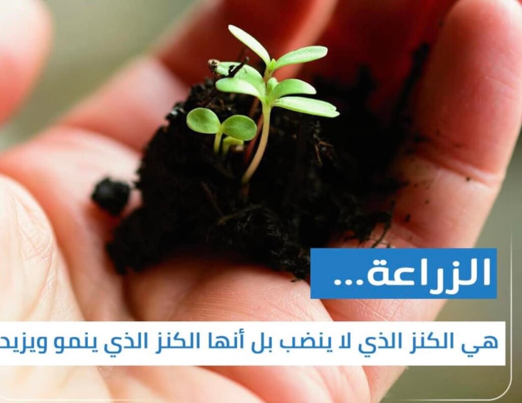 Plant 40,000 Trees In iraq