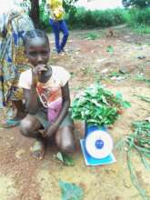 Harvested vegetables