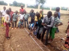 Preparation of vegetable boards