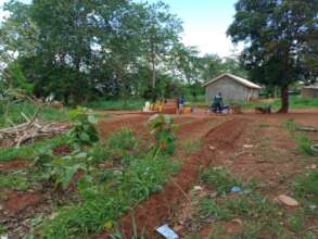 Post-harvest school gardens before holidays