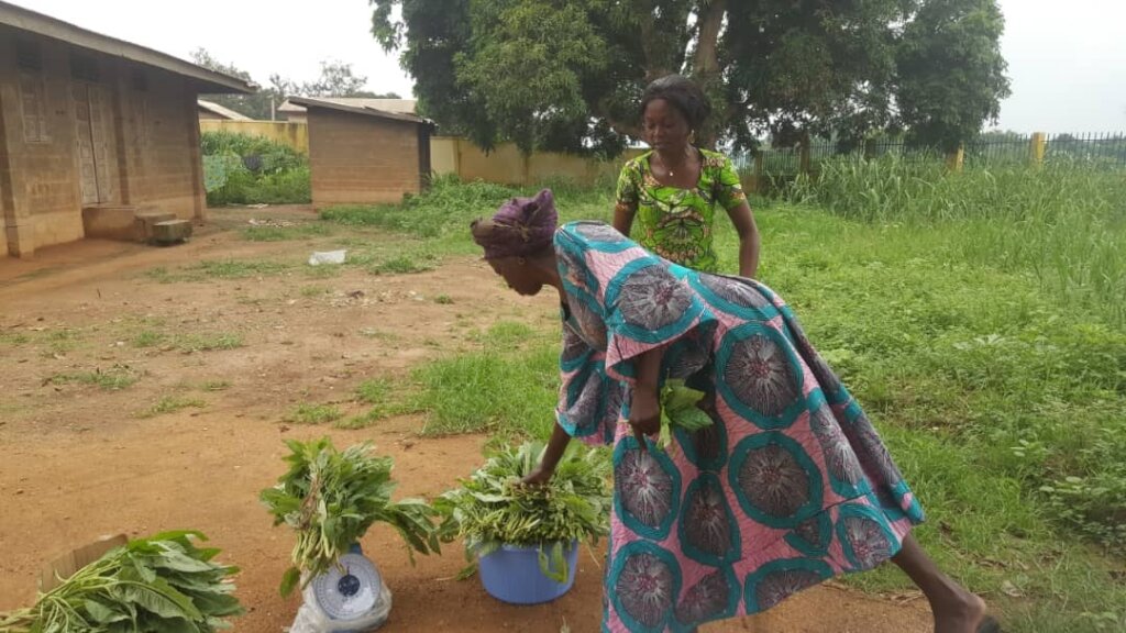 Provide healthy water & food for 5,953 children