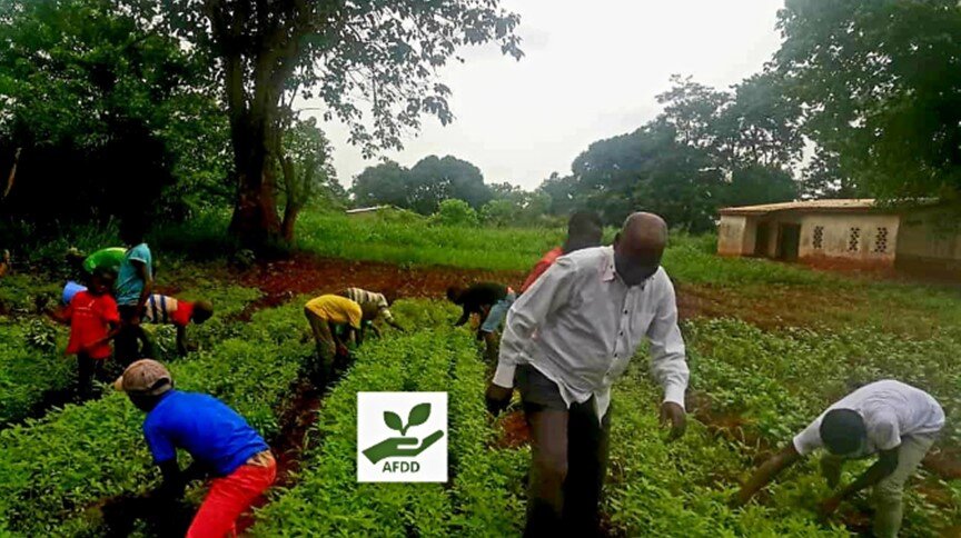 Provide healthy water & food for 5,953 children