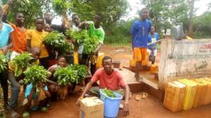 Harvest vegetable  at Nzilla School