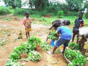 Pupils are selling vegetables to people