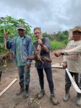 food security