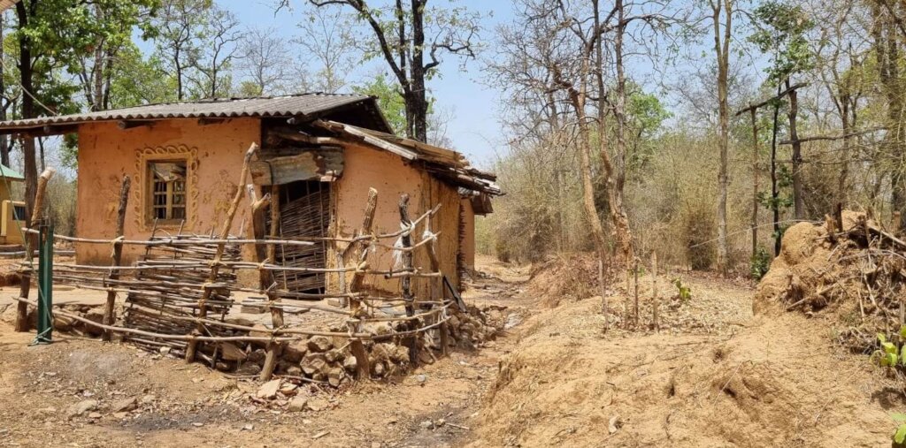 Protecting Tiger Protectors