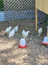 We're Farming Now!