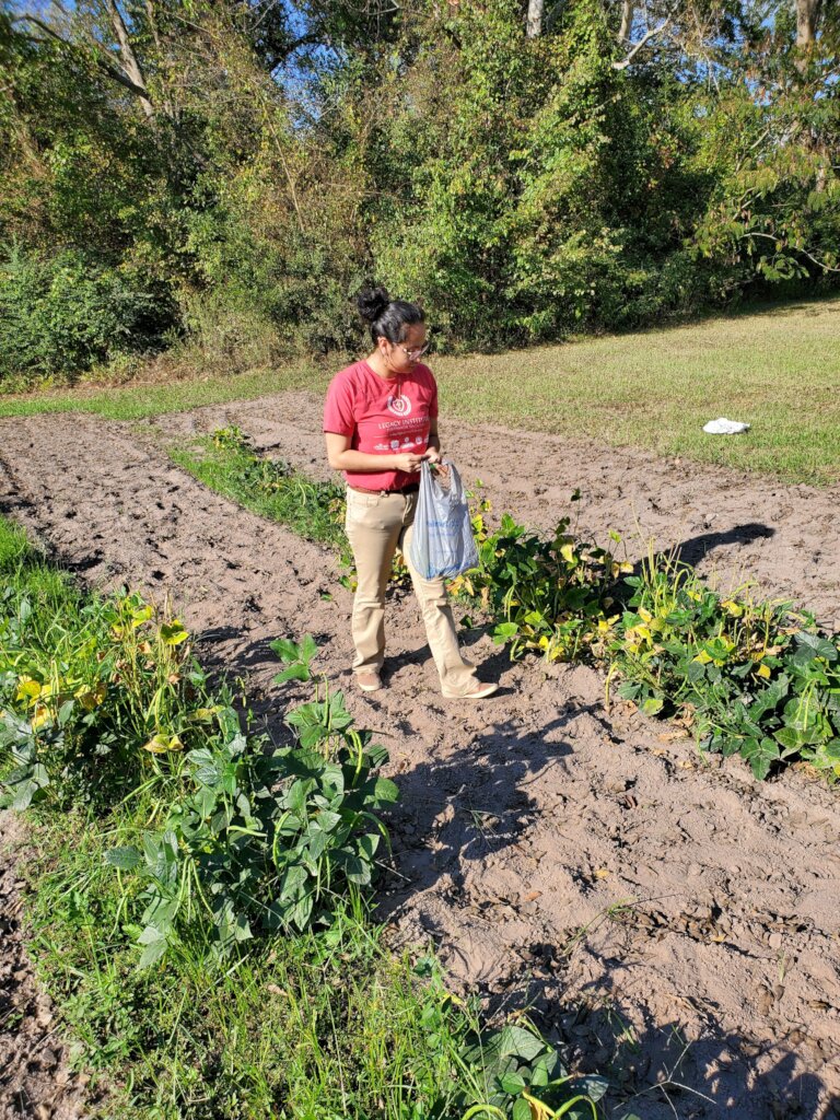 Assist 300 Families Access Local Homegrown Produce