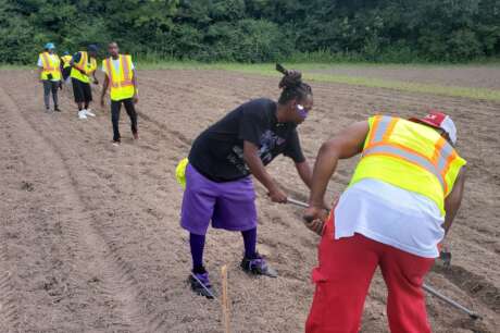 Assist 300 Families Access Local Homegrown Produce