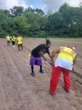 Assist 300 Families Access Local Homegrown Produce