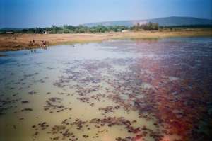 River Pollution due to Industrialization