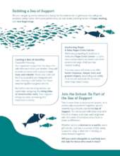 Sea of Support Plan
