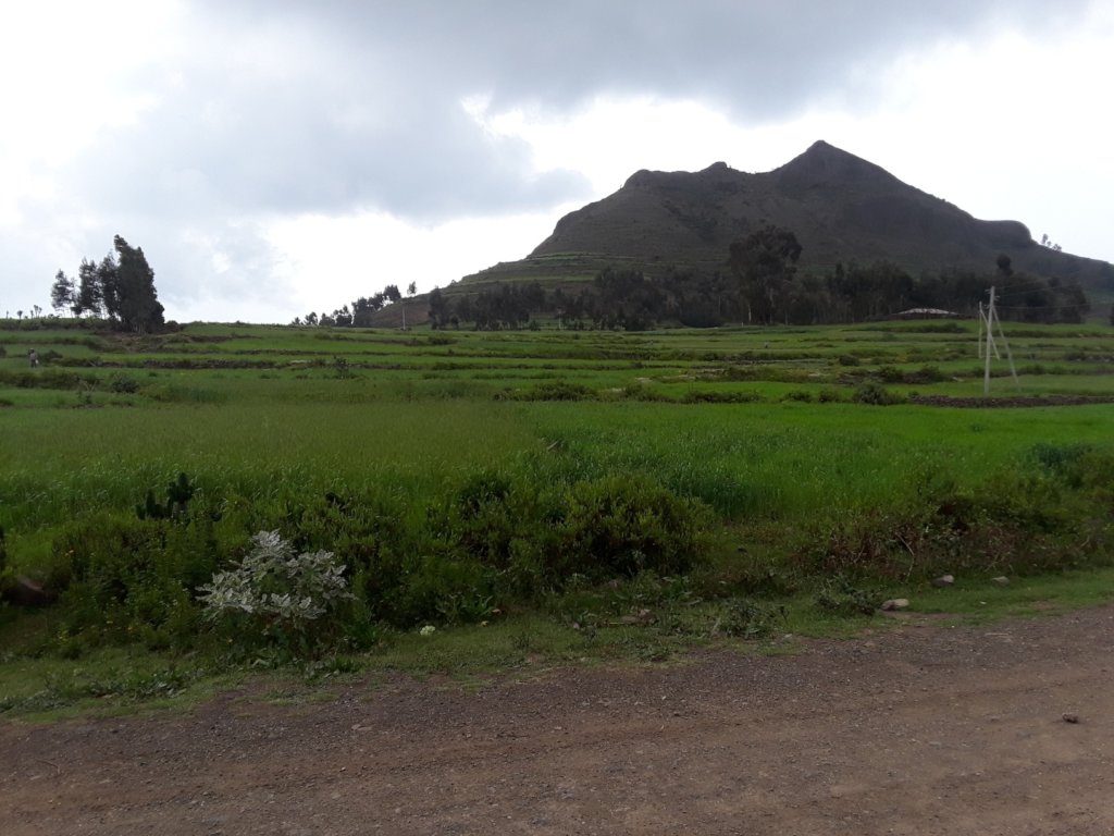 highest point in the village, Mt Tsada, is green