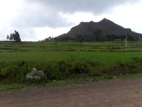 highest point in the village, Mt Tsada, is green