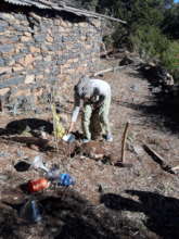 Kudusan installing the funnel direct root watering