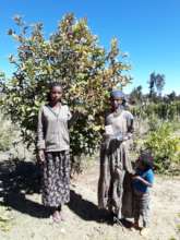 Haile Mariam Family
