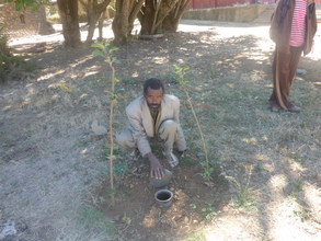 showing the sub-surface irrrigation