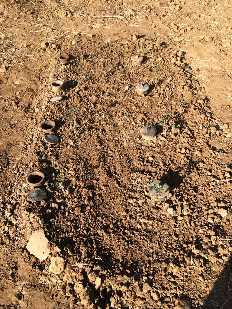 Bar shaped buried clay pots-A. Gebru's experiment