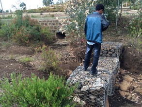 gabion wires bought by the project are installed