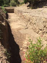 the in situ water harvesting system is still wet