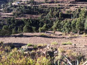 slop terracing in atebes_1