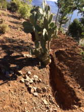 more terracing in atebes