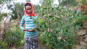 Hiwot, a 10th grader and her apple tree