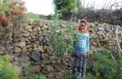 Build victory gardens for 500 Ethiopian households