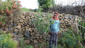 Build victory gardens for 500 Ethiopian households