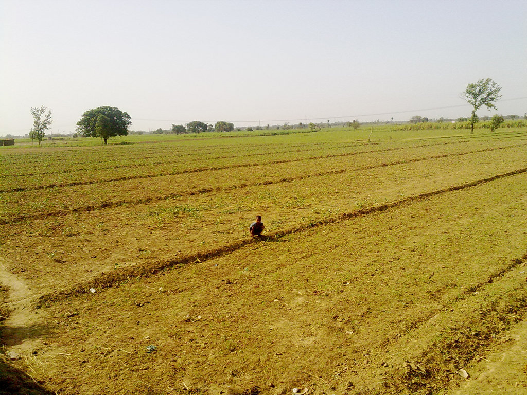 Provide solar power for 250 poor Indian families