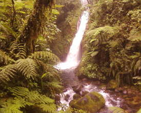 The beautiful Colibri Cloudforest