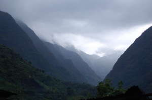 Beautiful landscape