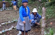 Help community efforts to protect Peruvian Forests