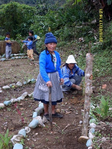 Help community efforts to protect Peruvian Forests