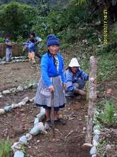 Help community efforts to protect Peruvian Forests