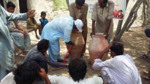 Nadi filter trainings