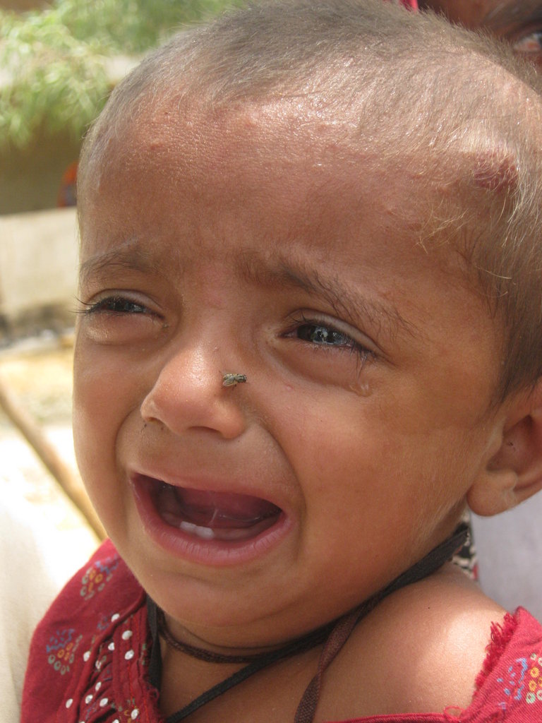 Reports on Safe Drinking Water for Flood Victims in Pakistan GlobalGiving