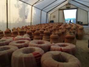 Pipie and Nadi procured