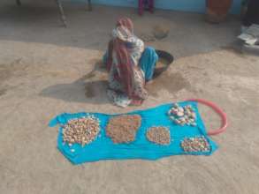 women preparing Nadi filter