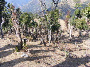 Site of Future Dormitories