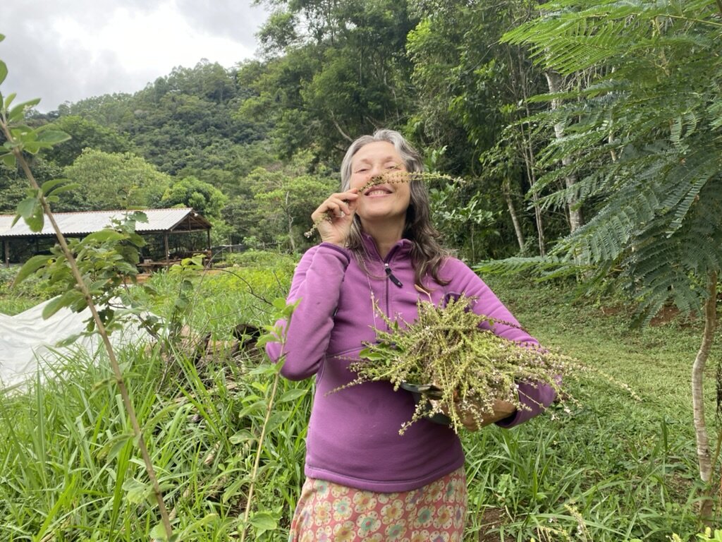 Rainforest Therapies for Healthy Communities