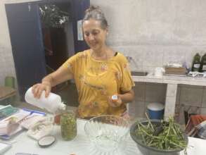 Rainforest Therapies for Healthy Communities