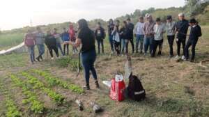 School Garden