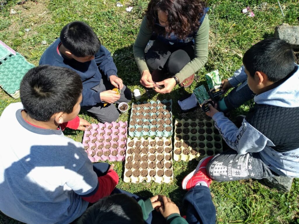 Agroecological Gardens in Schools in Argentina