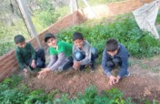Agroecological Gardens in Schools in Argentina